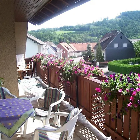 Fewo Haus Wilke Willingen (Upland)